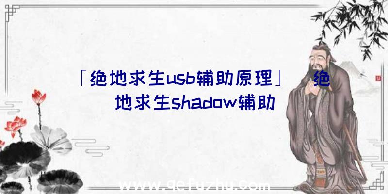 「绝地求生usb辅助原理」|绝地求生shadow辅助